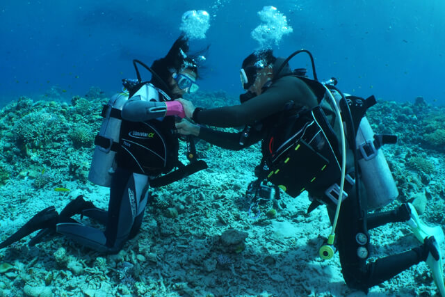 ダイビングスクール