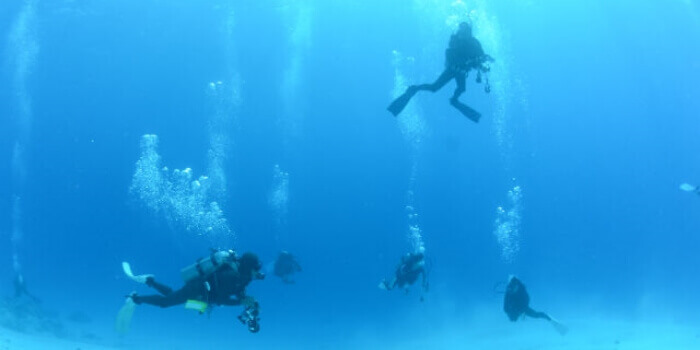 ファンダイビング