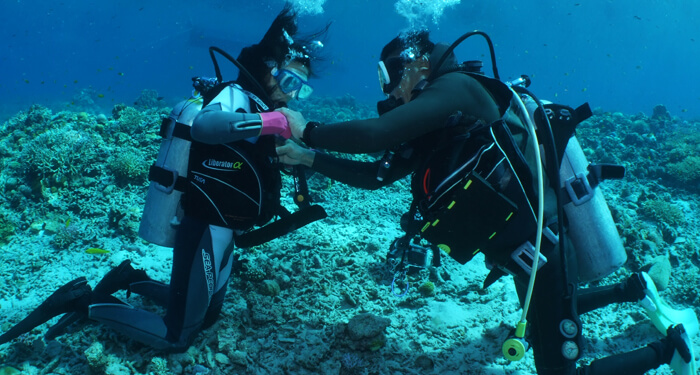 ライセンス講習